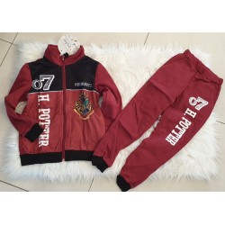 ensemble Harry Potter