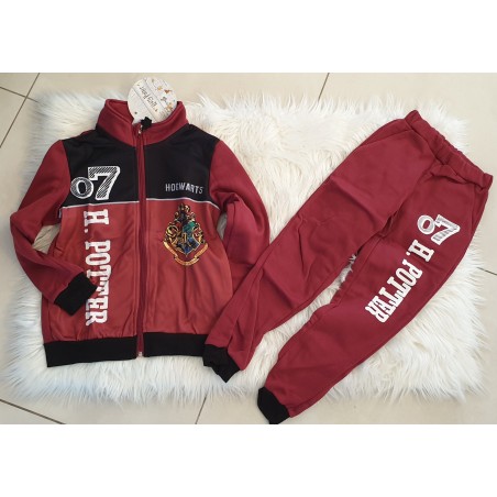 ensemble Harry Potter