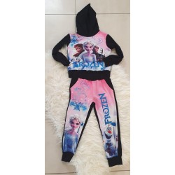 ensemble reine des neiges